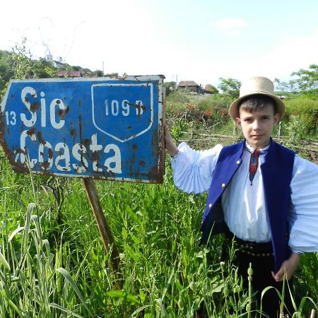 Csipkeszeg Bed & Breakfast Sic / Szek Romania Exterior foto