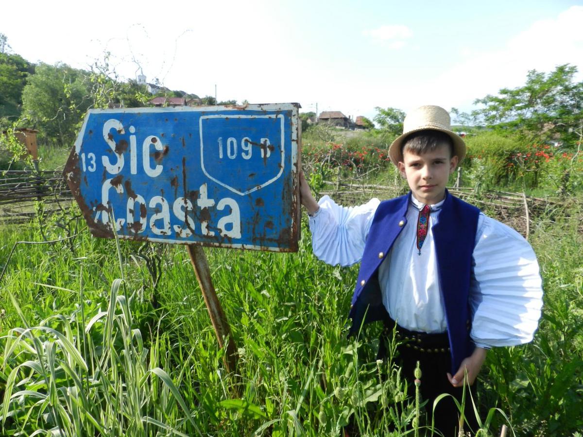 Csipkeszeg Bed & Breakfast Sic / Szek Romania Exterior foto